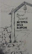 Ястреб над бором