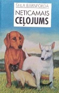 Neticamais ceļojums