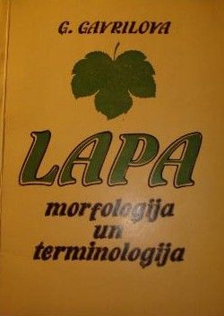 Lapa