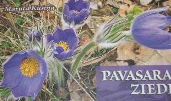 Pavasara Ziedi