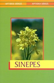 Sinepes