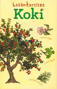 Koki