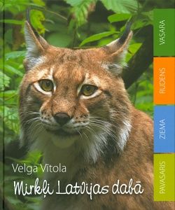 Mirkļi Latvijas dabā