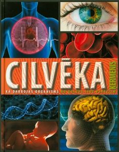 Cilvēka ķermenis