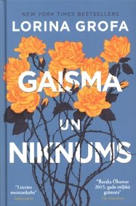 Gaisma un niknums