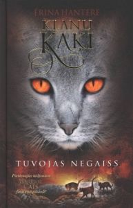 Tuvojas negaiss