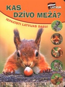 Kas dzīvo mežā?