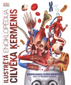 Cilvēka ķermenis