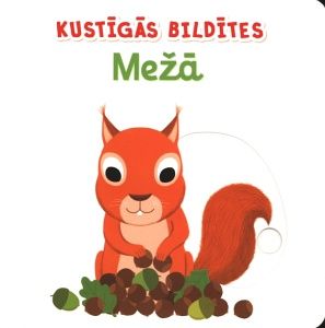 Mežā