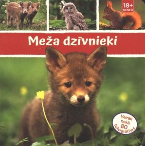 Meža dzīvnieki