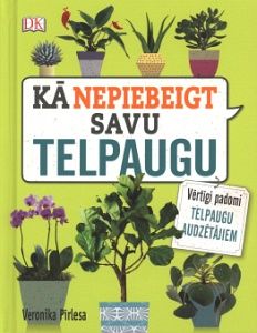 Kā nepiebeigt savu telpaugu