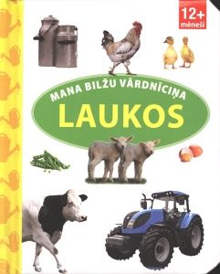 Mana bilžu vārdnīciņa