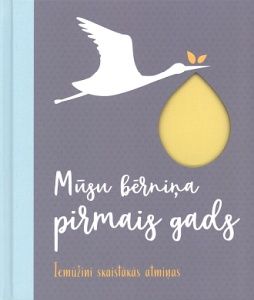 Mūsu bērniņa pirmais gads