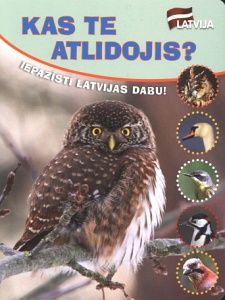 Kas te atlidojis?