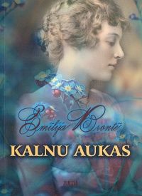 Kalnu aukas