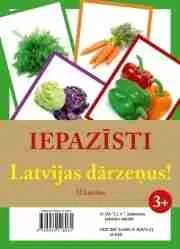 Iepazīsti Latvijas dārzeņus. Mācību materiāls bērniem