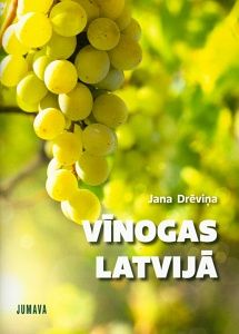 Vīnogas Latvijā