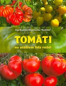 Tomāti no stādiem līdz ražai