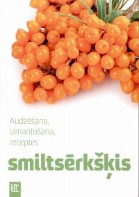 Smiltsērkšķis