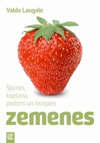 Zemenes