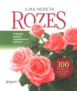 Rozes