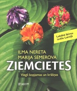 Ziemcietes
