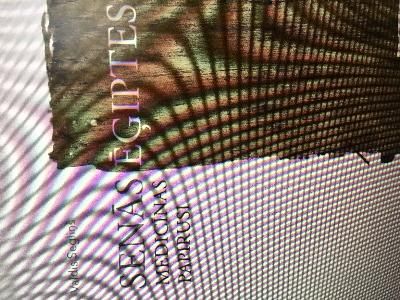 Senās Ēģiptes medicīnas papirusi