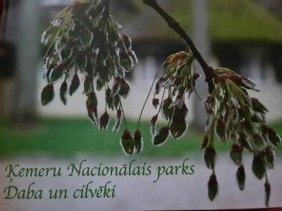 Ķemeru Nacionālais parks. Daba un cilvēki