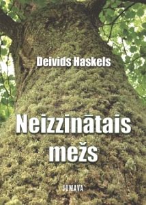 Neizzinātais mežs
