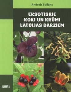 Eksotiskie koki un krūmi Latvijas dārziem