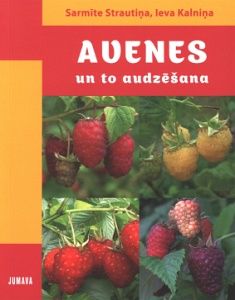 Avenes un to audzēšana