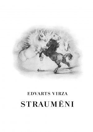 Straumēni, grāmata
