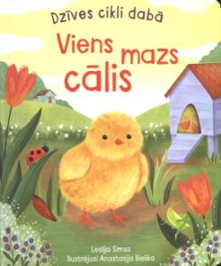 Viens mazs cālis