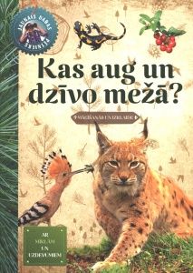 Kas aug un dzīvo mežā?