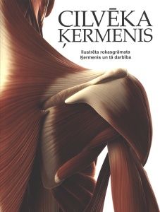 Cilvēka ķermenis. Ilustrēta rokasgrāmata: ķermenis un tā darbība