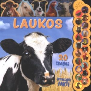 Laukos. Interesanti fakti