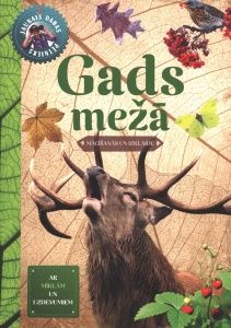 Gads mežā. Mācīšanās un izklaide