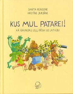 Kus mul patarei!