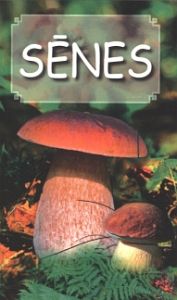 Sēnes