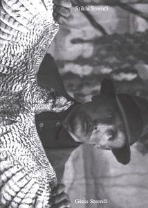 Stikla Strenči