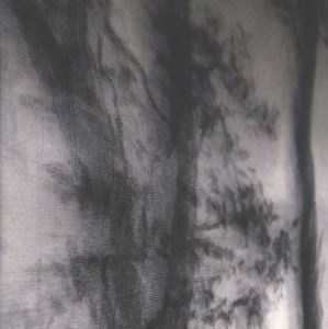 Iveta Šmita Mežam ir svarīgi ļaut būt mežam