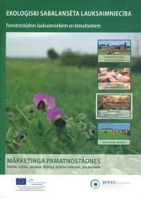 Mārketinga pamatnostādnes