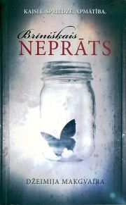 Brīnišķais neprāts