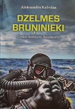 Dzelmes bruņinieki