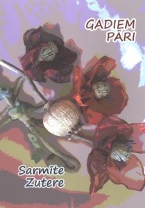 Gadiem pāri