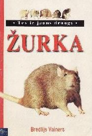 Žurka