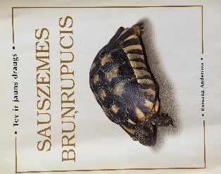 Sauszemes bruņrupucis