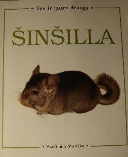 Šinšilla