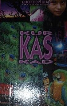 Kas. Kur. Kad. 17