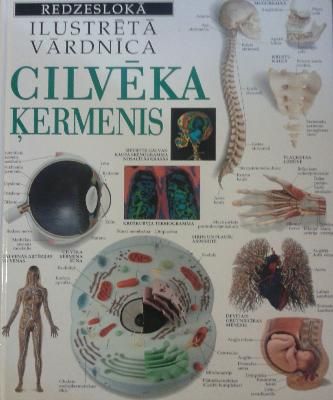 Cilvēka ķermenis